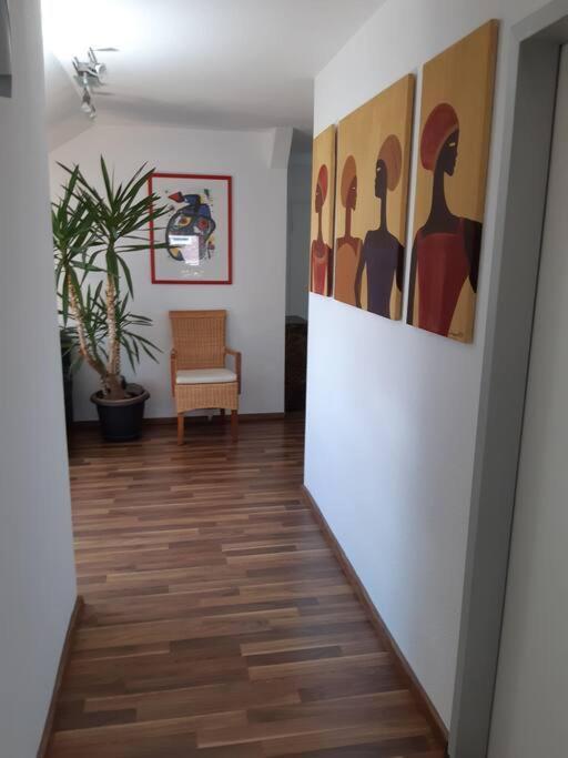 Tolle Wohnung In Zentraler Lage In Новый-Ульм Экстерьер фото