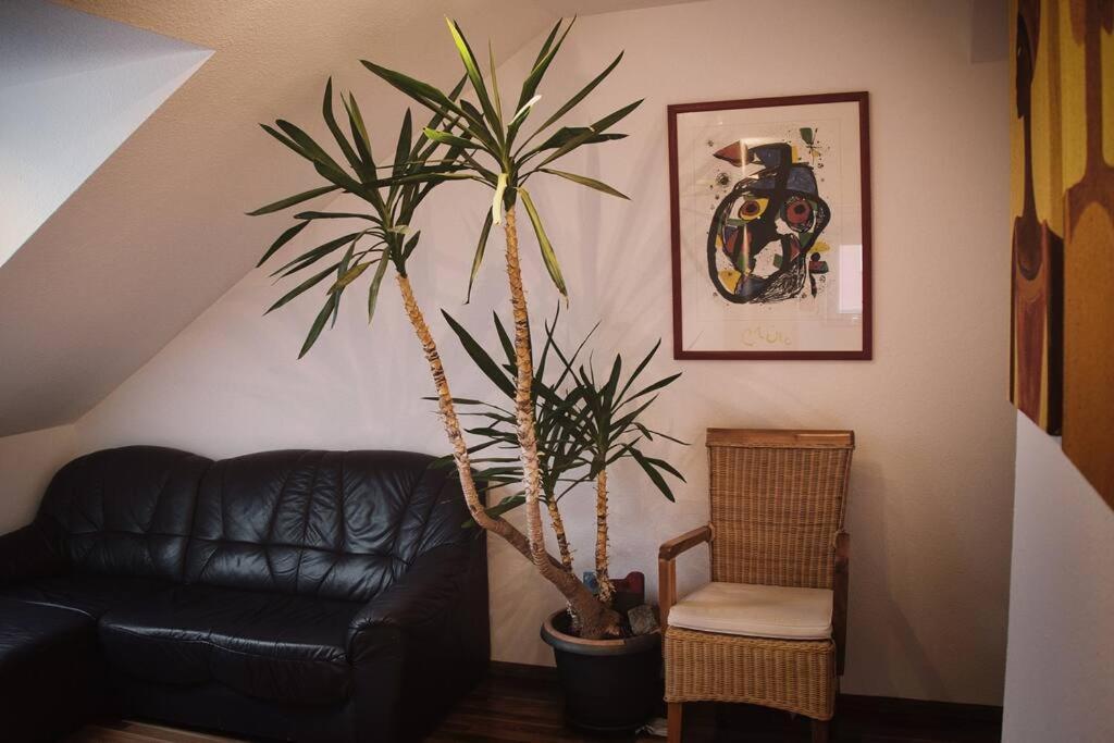 Tolle Wohnung In Zentraler Lage In Новый-Ульм Экстерьер фото